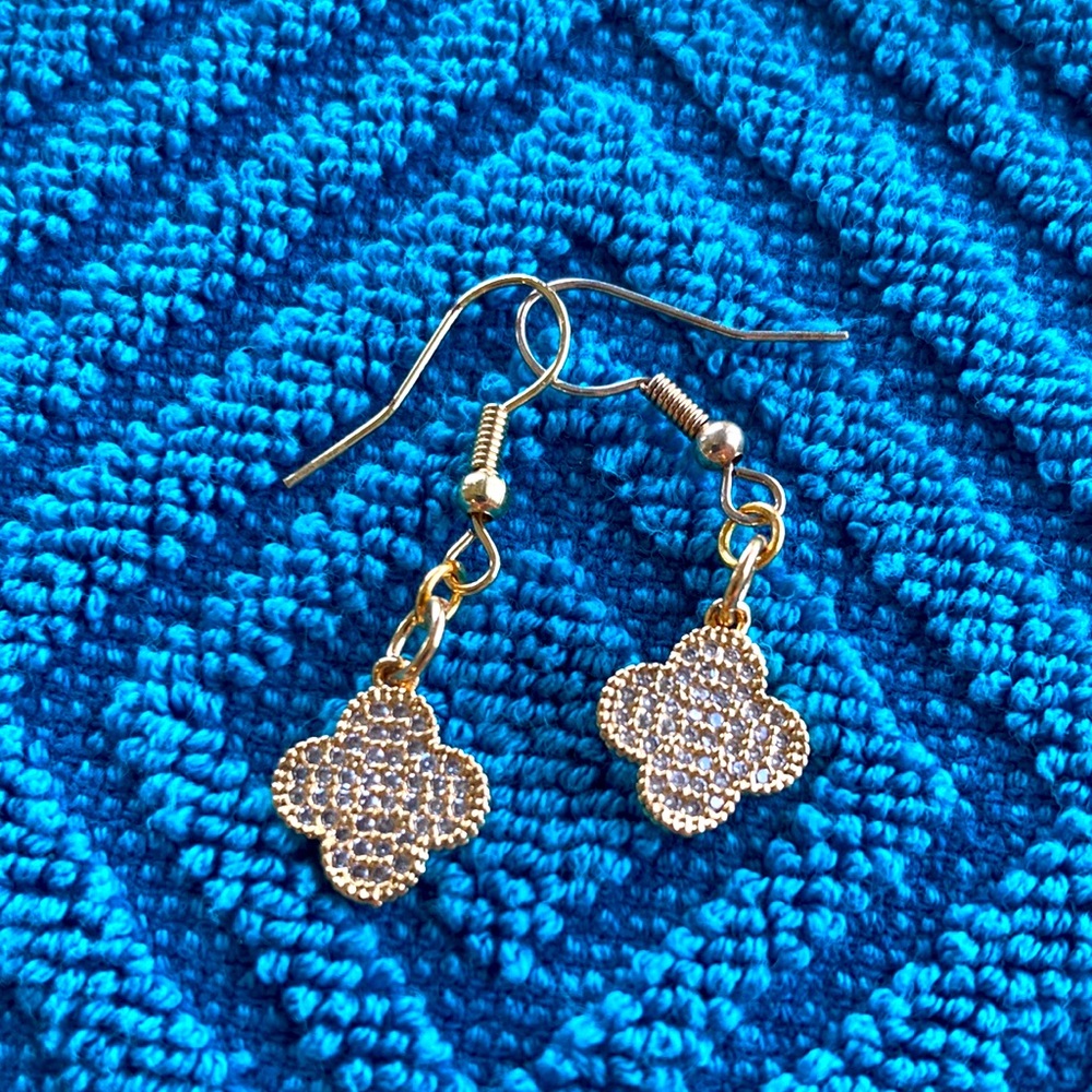 Earrings NWT Gorgeous